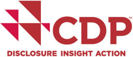 CDP Disclosure insight action